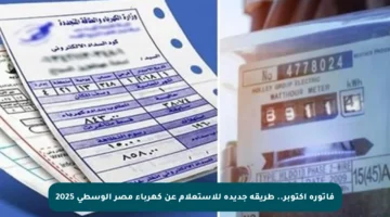 فاتورة أكتوبر.. طريقة جديدة للاستعلام عن كهرباء مصر الوسطى 2025